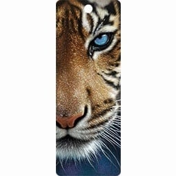 Live Life | 3D | Boekenlegger | Blue Eyes - Kleine Eland