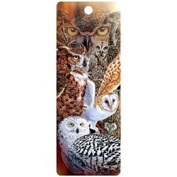 Live Life | 3D | Boekenlegger | Owl Woods - Kleine Eland