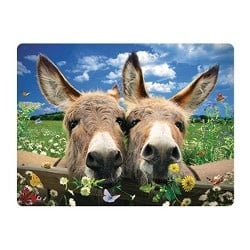 Live Life | 3D | Ansichtkaart | 15,4 x 11,3 cm | Donkeys