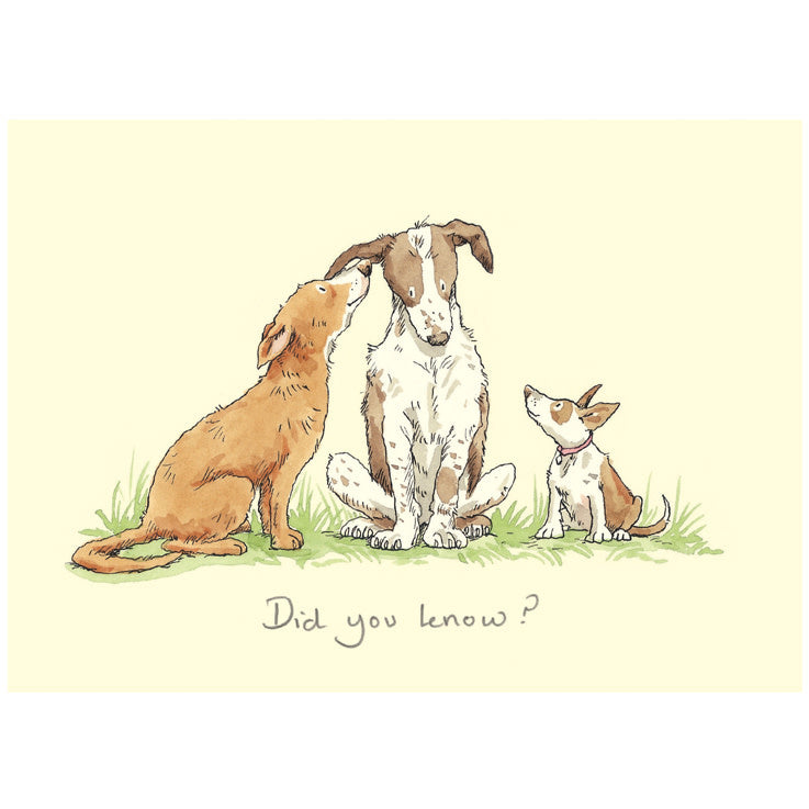 Two Bad Mice | Anita Jeram | Did You Know?