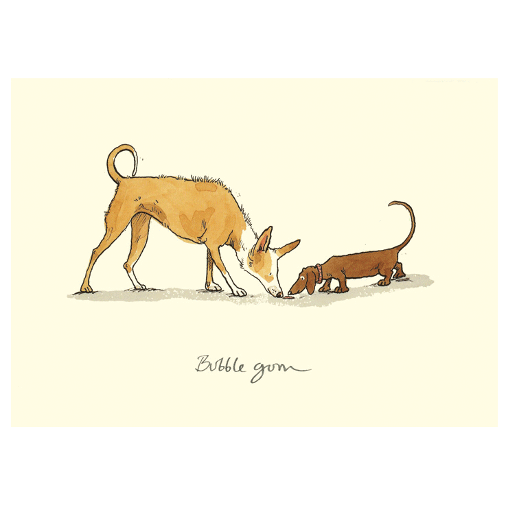 Two Bad Mice | Anita Jeram | Bubble Gum