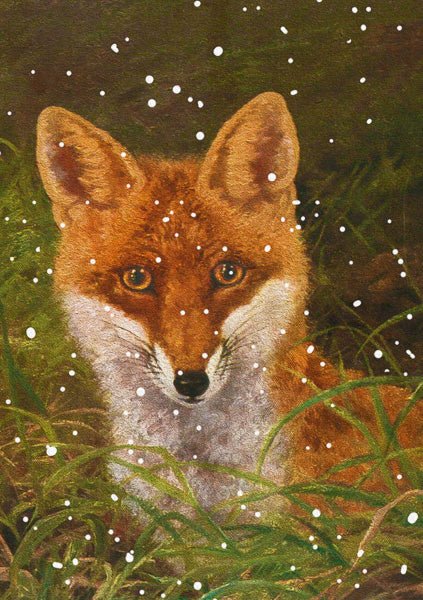 Madame Treacle | Foxy - Kleine Eland