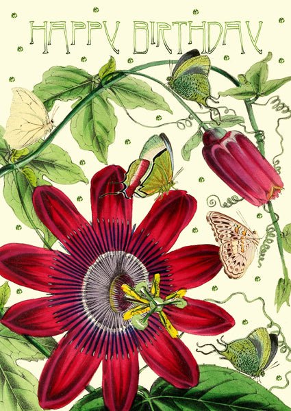 Madame Treacle | Glitterkaart | Happy Birthday | Passion Flower - Kleine Eland