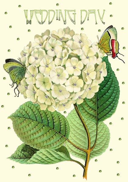 Madame Treacle | Glitterkaart | White Hydrangea | Wedding Day - Kleine Eland