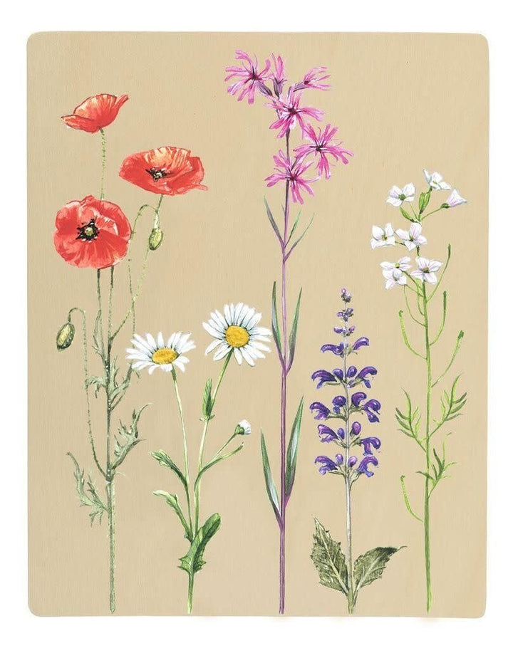 Moses | Expeditie Natuur | Bloemenpers met Zonnepapier | 22 x 17 x 3 cm | 5+ - Kleine Eland