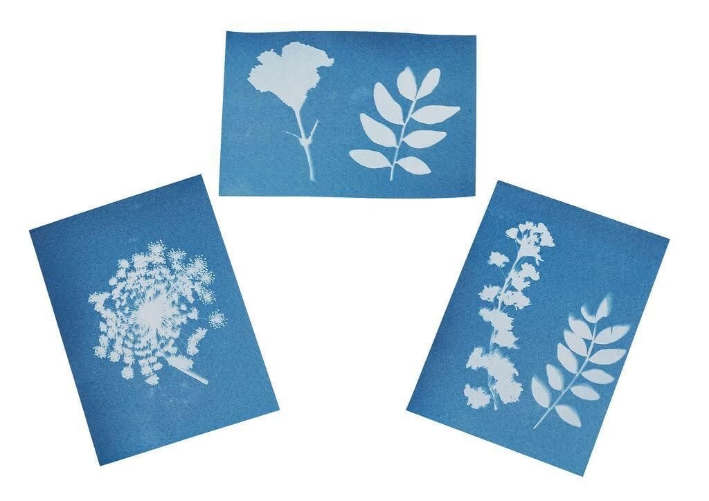 Moses | Expeditie Natuur | Bloemenpers met Zonnepapier | 22 x 17 x 3 cm | 5+ - Kleine Eland