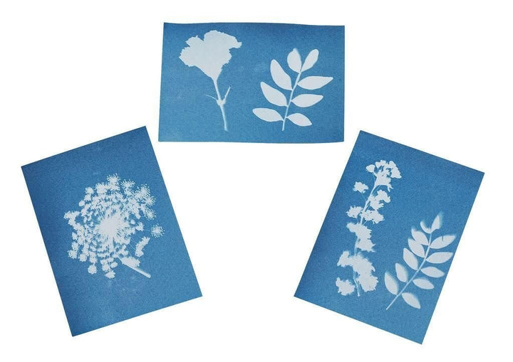 Moses | Expeditie Natuur | Bloemenpers met Zonnepapier | 22 x 17 x 3 cm | 5+ - Kleine Eland