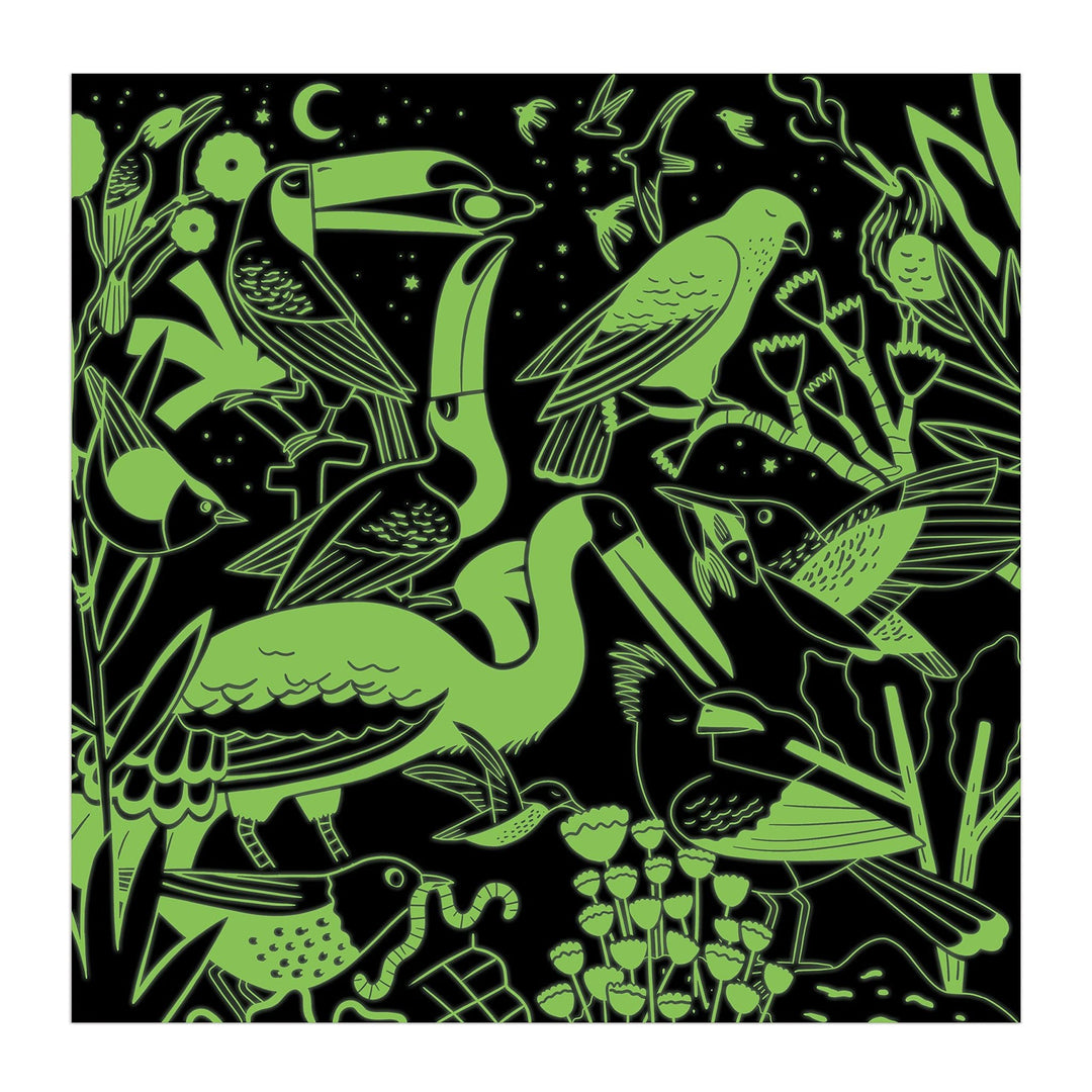 Mudpuppy | Glow in the Dark Puzzle | Birds Illuminated | 51 x 51 cm | 500 pieces | 8+ - Kleine Eland