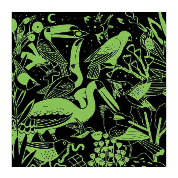 Mudpuppy | Glow in the Dark Puzzle | Birds Illuminated | 51 x 51 cm | 500 pieces | 8+ - Kleine Eland