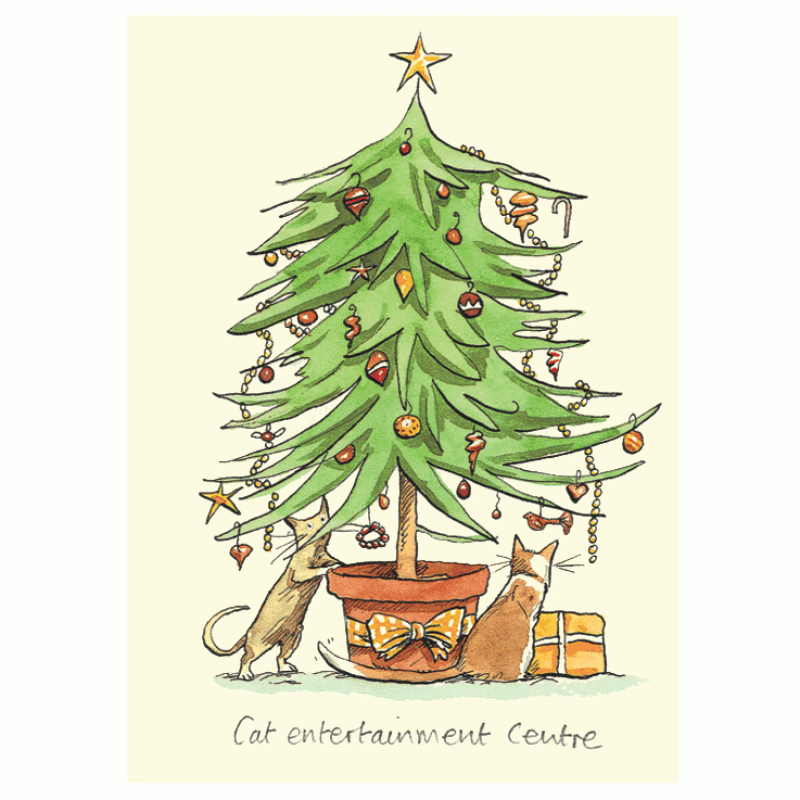 Des chats jouent dans et autour d’un sapin de Noël décoré.
