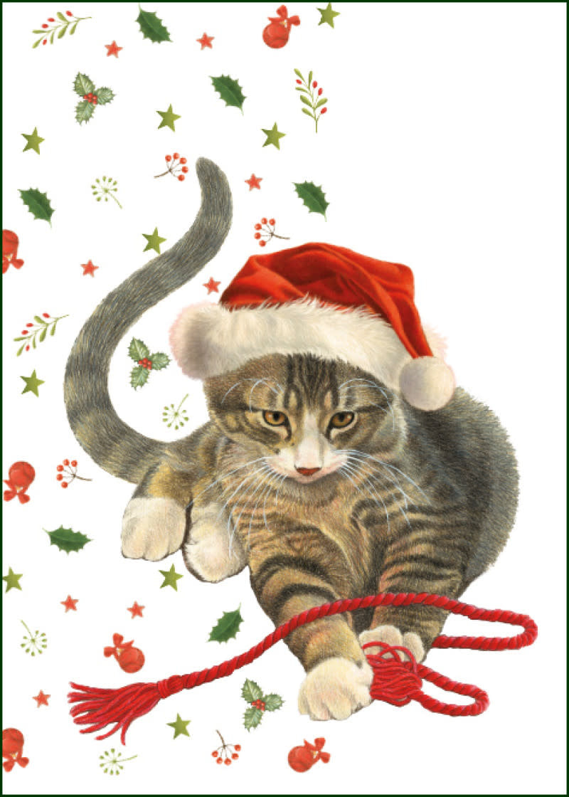 Un chat coiffé d’un bonnet de Noël joue avec un ruban rouge sous des branches festives.