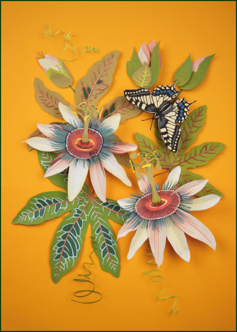 Des fleurs et des papillons composent un bouquet sur fond jaune ocre.
