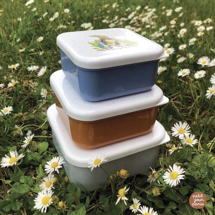 Petit Jour | Peter Rabbit | Set van 3 lunchboxen | 11,3 - 9,9 - 8,4 cm - Kleine Eland