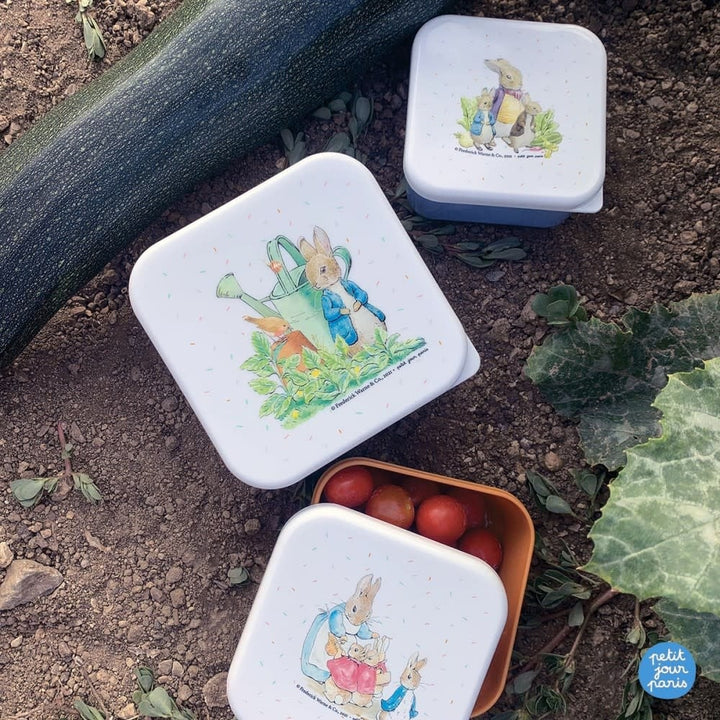 Petit Jour | Peter Rabbit | Set van 3 lunchboxen | 11,3 - 9,9 - 8,4 cm - Kleine Eland