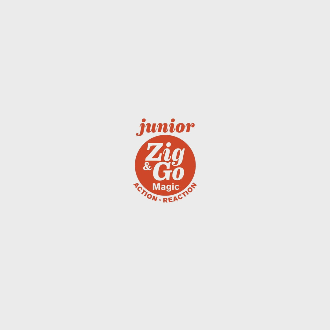 Djeco | Zig &amp; Go | Junior | Magic | 43 pieces | 5-99 years