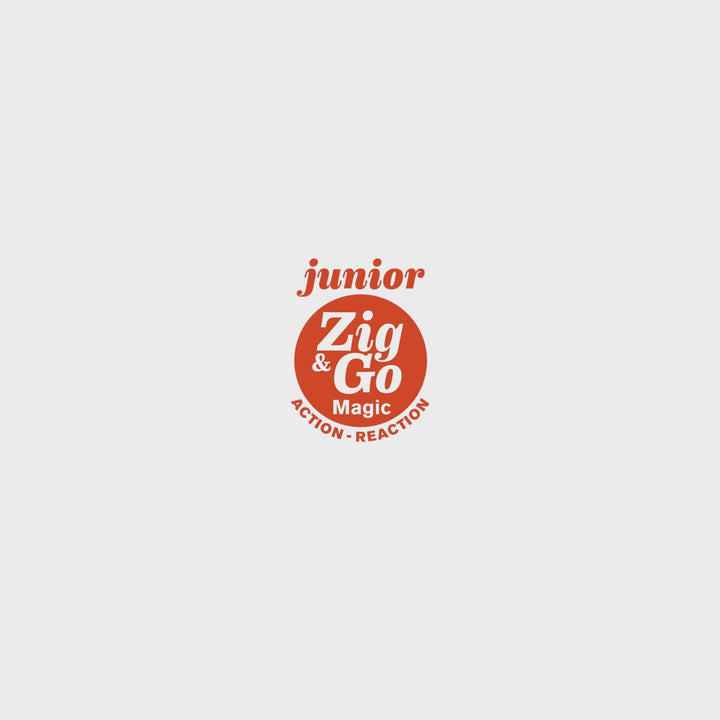 Djeco | Zig &amp; Go | Junior | Magic | 43 pieces | 5-99 years