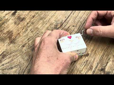 Fridolin | Love Forever | Muziekmechaniek | 2 Tortelduiven | Daar komt de Bruid