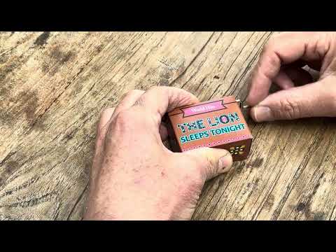 Fridolin | World Hits | Muziekmechaniek | The Lion Sleeps Tonight