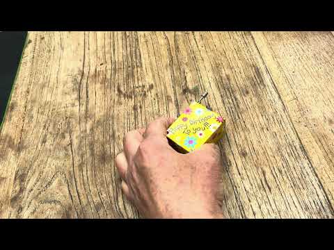 Fridolin | Muziekmechaniek | Flower | Happy Birthday
