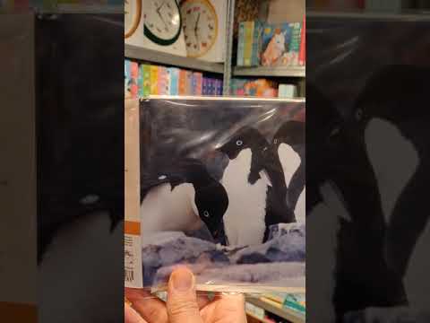 Really Wild Cards | Sound Greeting Card | Endangered Wildlife | Adelie Penguin
