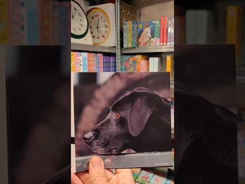 Really Wild Cards | Sound Greeting Card | Country Sports | Labrador
