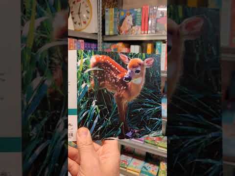 Really Wild Cards | Sound Greeting Card | Adorable | Fawn