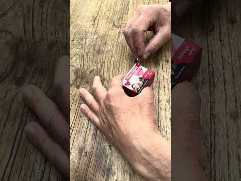 Fridolin | Art &amp; Music | Music Mechanism | Edvard Grieg | Solveig&