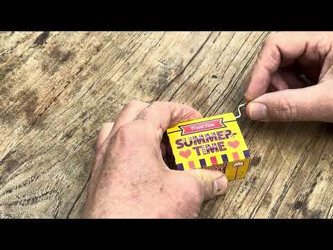Fridolin | World Hits | Muziekmechaniek | Summertime