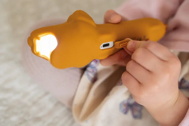 Rabbit &amp; Friends | Leeuw | Oplaadbare Zaklantaarn | Siliconen | 25cm | 2+ - Kleine Eland
