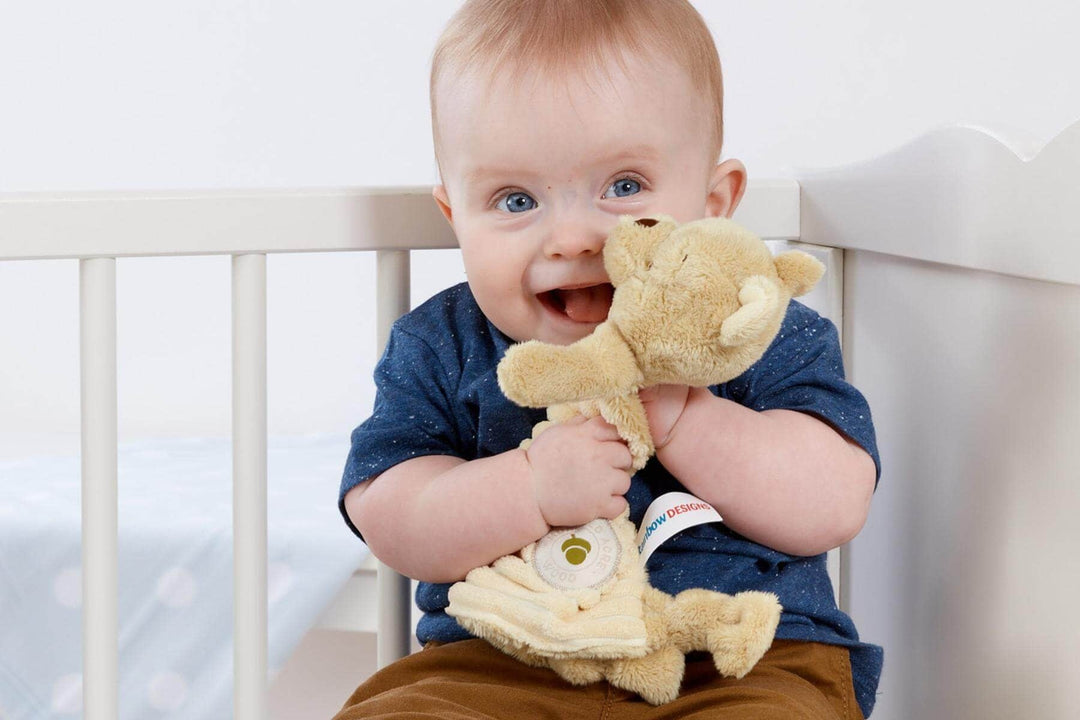 Rainbow Designs | Winnie the Pooh | Knuffeldoekje Winnie | 25 cm | 0+ - Kleine Eland