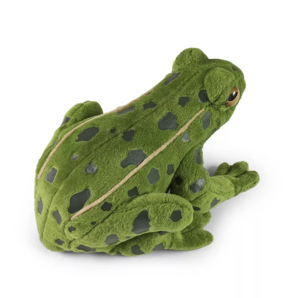 Rappa Pluche Kikker 19 cm - Kleine Eland