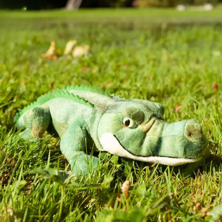 Rappa Plush Toy | Krokodil | 34 cm | 0+ - Kleine Eland