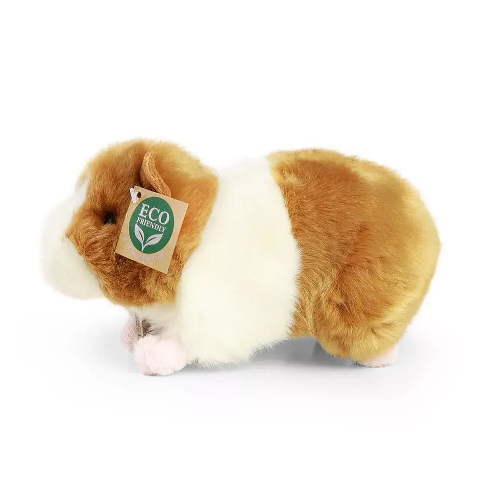 Rappa Plush Toy | Pluche cavia 20 cm | 0+ - Kleine Eland