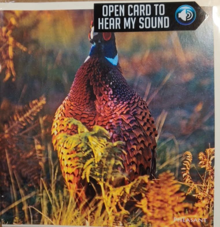 Really Wild Cards | Wenskaart met Geluid | Country Sports | Fazanten Haan - Kleine Eland