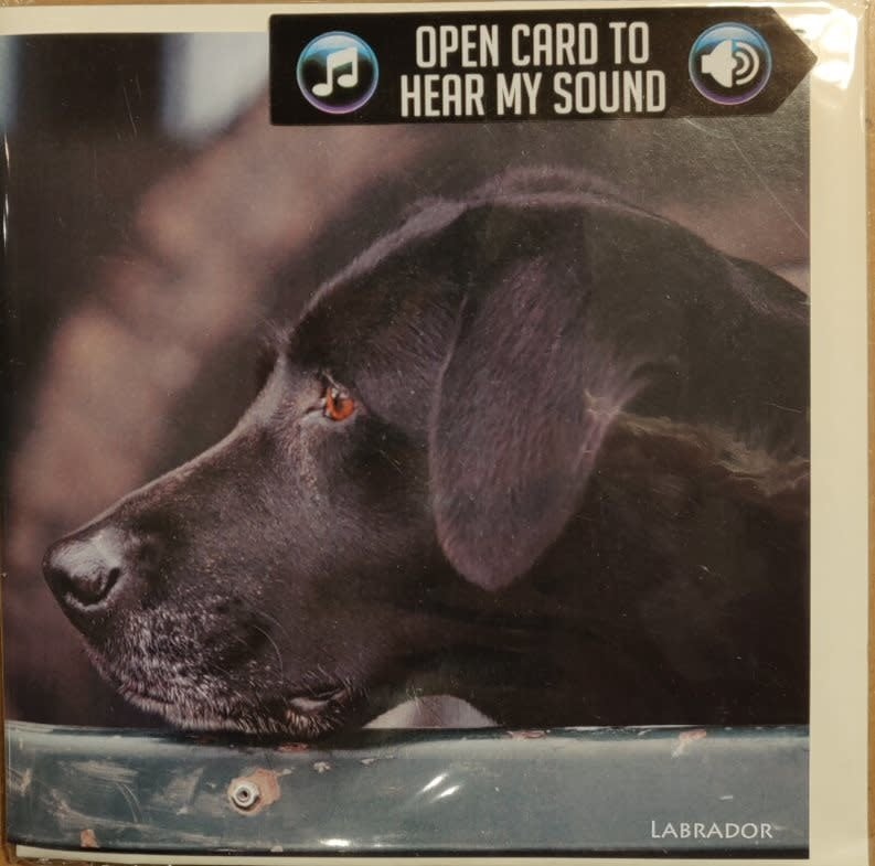 Really Wild Cards | Wenskaart met Geluid | Country Sports | Labrador - Kleine Eland