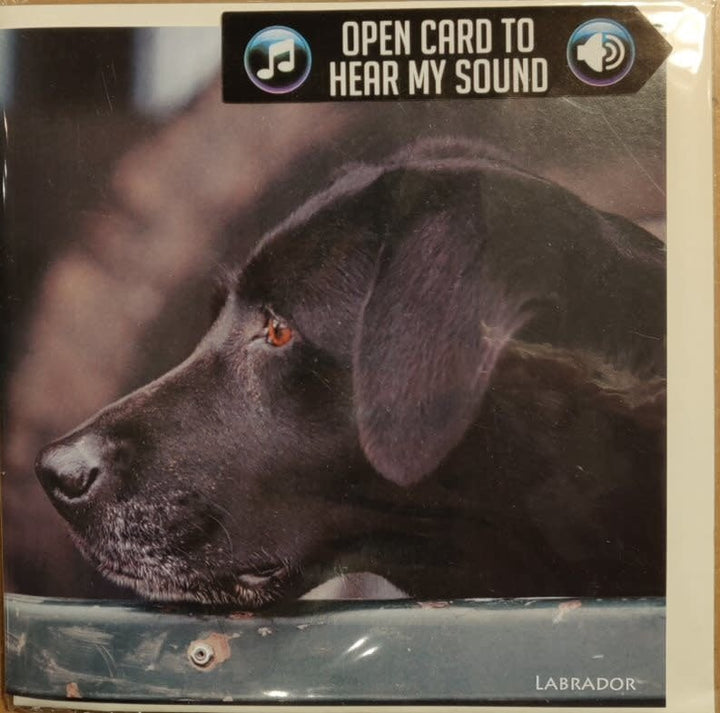 Really Wild Cards | Wenskaart met Geluid | Country Sports | Labrador - Kleine Eland