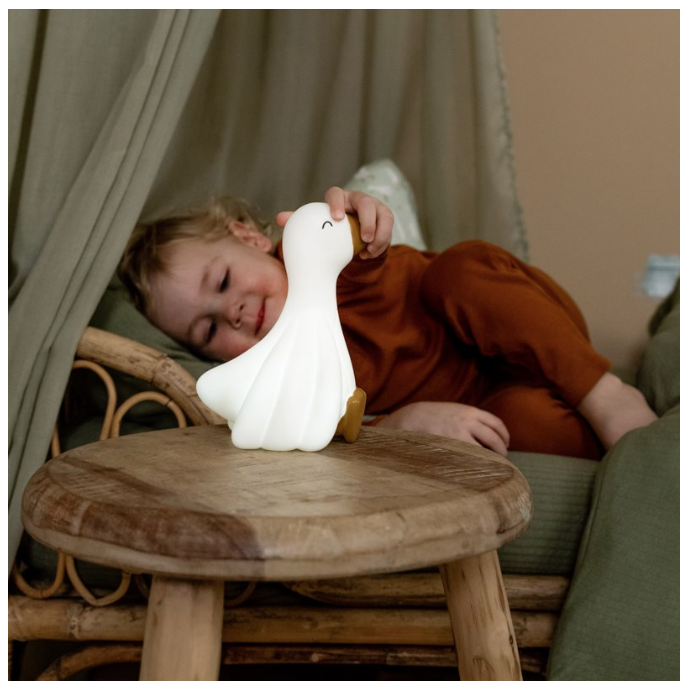 Little Dutch | Kunststof Nachtlampje | Little Goose