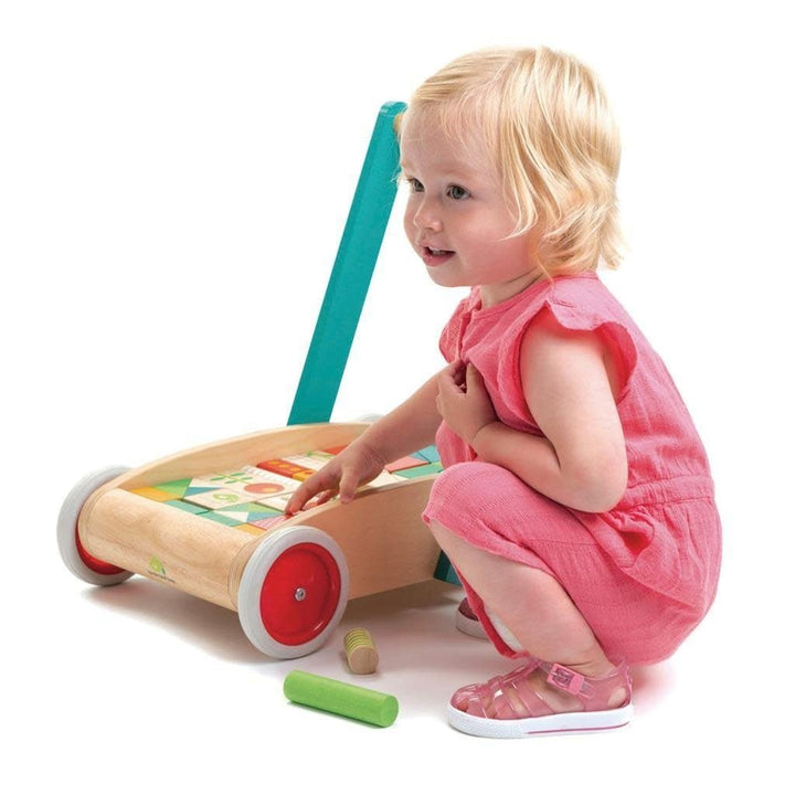 Tender Leaf Toys | Baby Block Babywalker | Duwwagen | inclusief 29 Houten blokken | +18 mnd - Kleine Eland