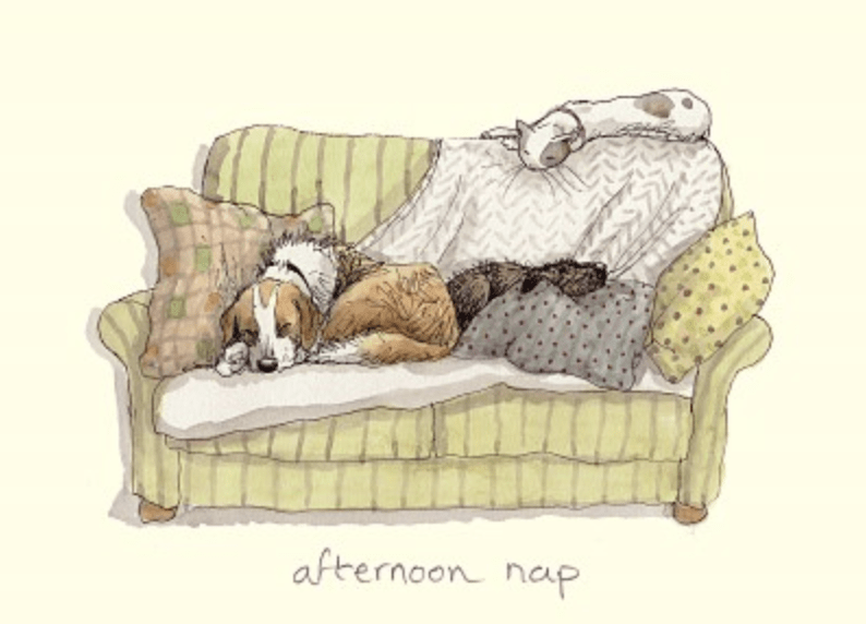 Two Bad Mice | Anita Jeram | Afternoon Nap - Kleine Eland