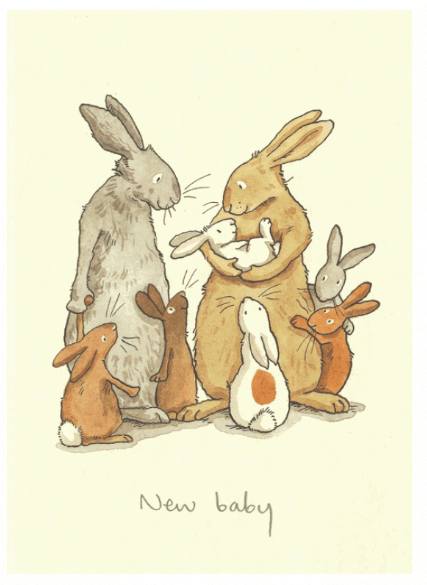 Two Bad Mice | Anita Jeram | New Baby Card - Kleine Eland