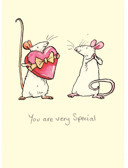 Two Bad Mice | Anita Jeram | You Are Very Special - Kleine Eland