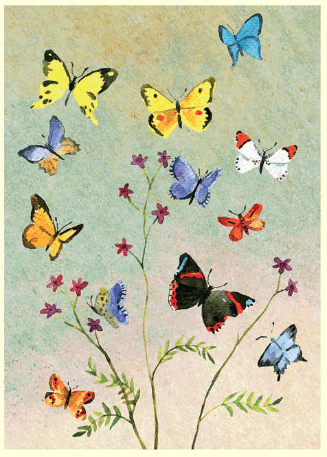 Two Bad Mice | Anna Shuttlewood | Butterflies - Kleine Eland