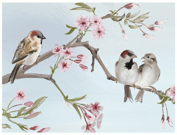 Two Bad Mice | Julian Williams | House Sparrows - Kleine Eland