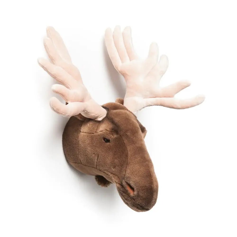 Wild and Soft | Dierenkop | Alfred de Eland | 50 cm - Kleine Eland