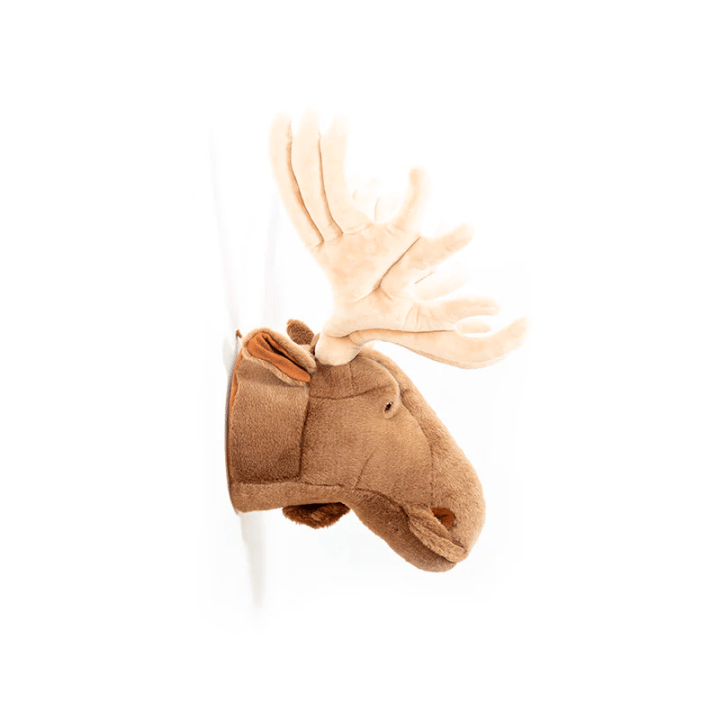Wild and Soft | Dierenkop | Alfred de Eland | 50 cm - Kleine Eland