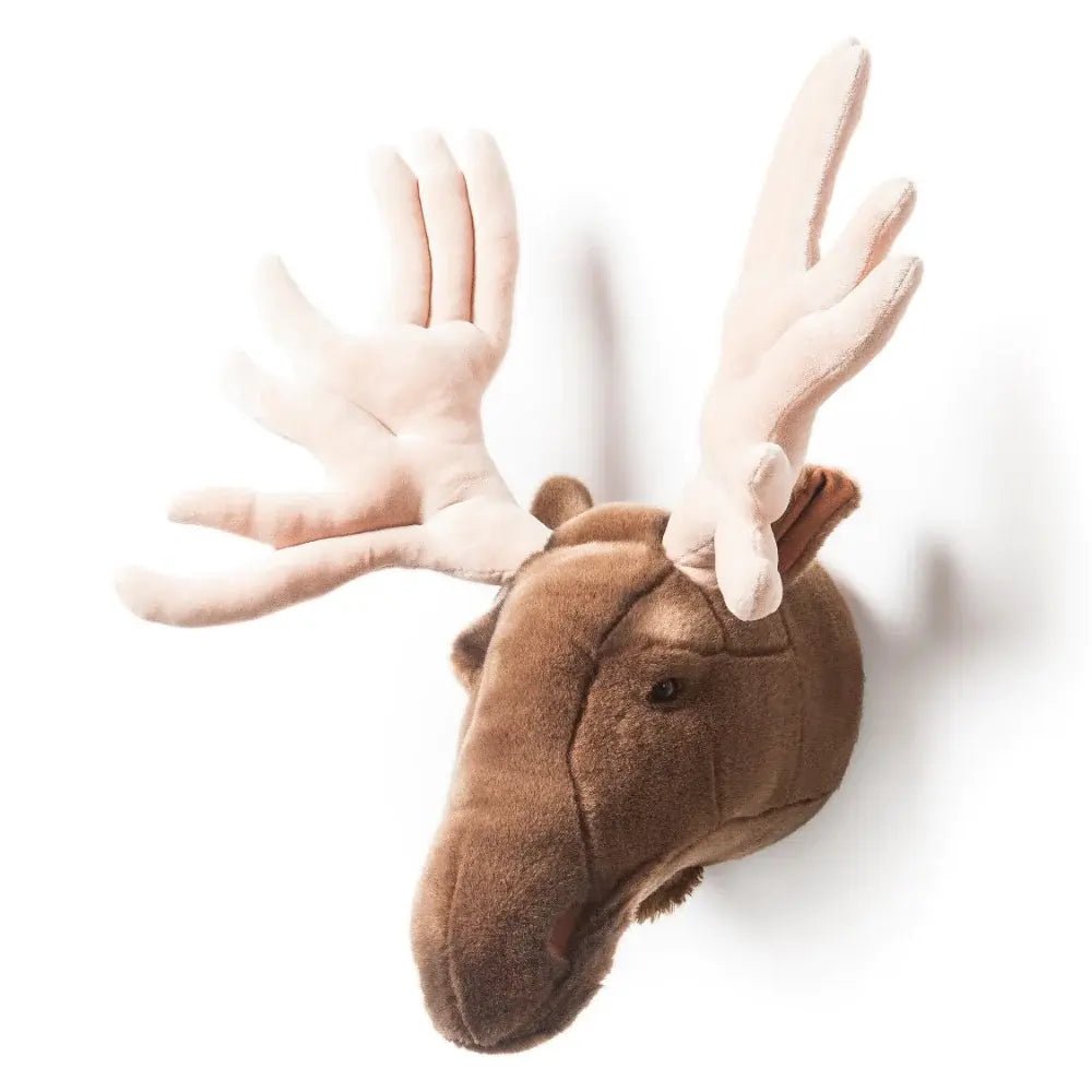 Wild and Soft | Dierenkop | Alfred de Eland | 50 cm - Kleine Eland