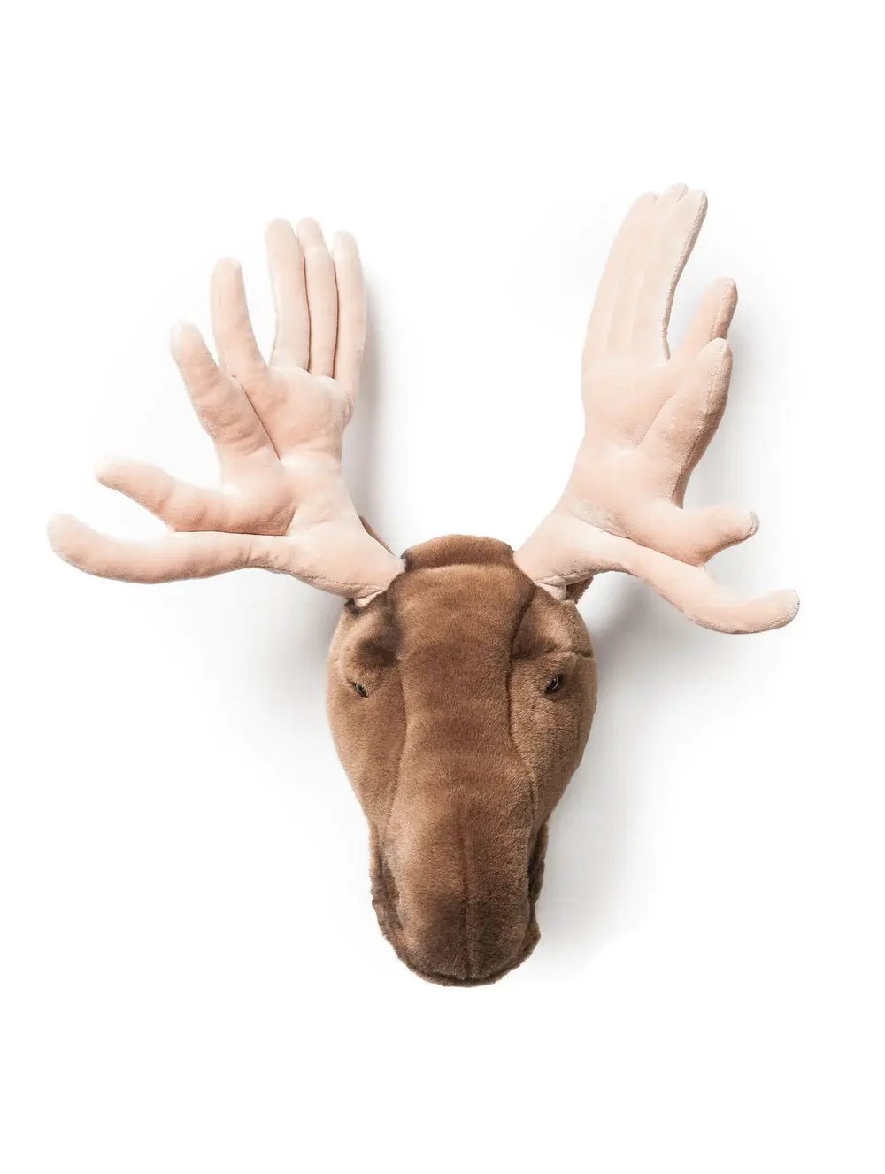 Wild and Soft | Dierenkop | Alfred de Eland | 50 cm - Kleine Eland