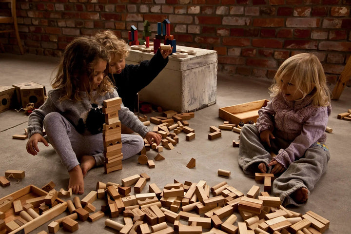Wooden Story | Natuurlijke Houten Blokken | in houten tray | 54 stuks | 1+ - Kleine Eland